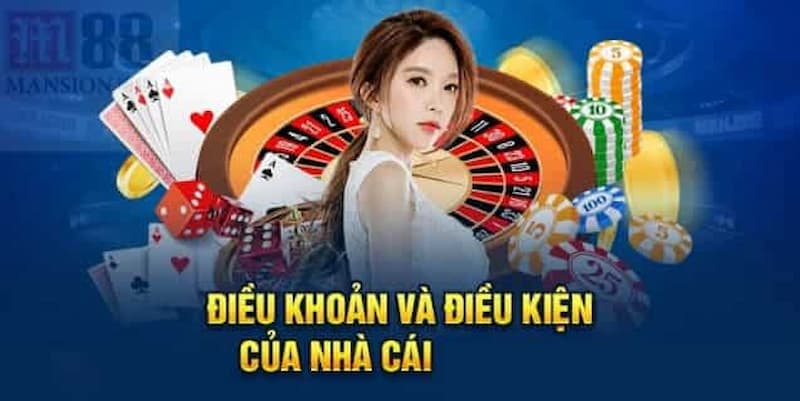 Cách đọc và áp dụng Điều kiện điều khoản